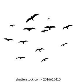 Silhouette of birds. Vector flock of birds in the sky. isolated background.