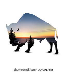  Silhouette of bison with coniferous trees, sea horizon and colorful sky. 