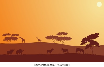 Silhouette of bison, zebra and giraffe in hills