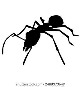 Silhouette black ant isolated on a white background, an insect that often appears around us and occurs because of poor hygiene.