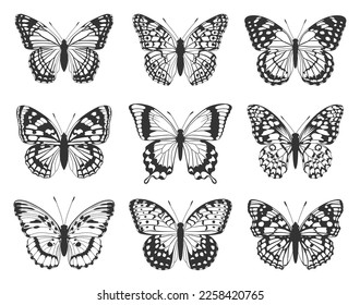 Silhouette of black butterflies. Collection of butterflies.