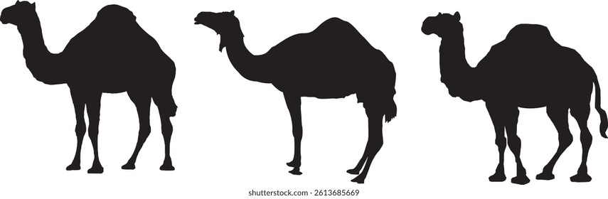 silhouette, black camels, desert animals, minimalist design, profile view, three camels, monochrome illustration, simple shapes, graphic art style, white background