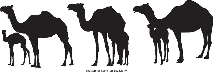 silhouette, black camels, desert animals, minimalist design, profile view, three camels, monochrome illustration, simple shapes, graphic art style, white background