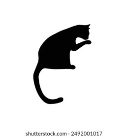 Silhouette of a black cat
