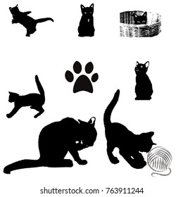 Cat Sitting Stock Images, Royalty-Free Images & Vectors | Shutterstock