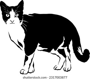 Silhouette Black of a cat vector