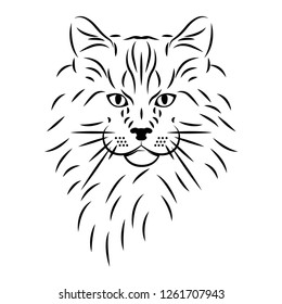 Silhouette of a black cat. Cat, vector illustration. Isolated on white background.