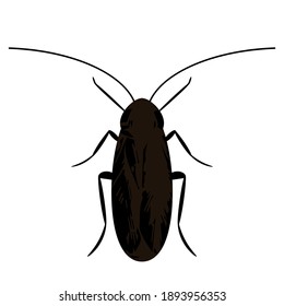 silhouette of a black cockroach. icon in flat style isolated on white background