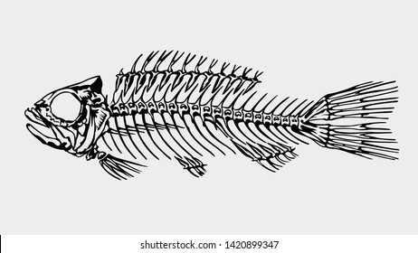 Silhouette in black color of a skeleton of a big fish on light gray background. Vector image