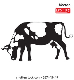 Silhouette of a black cow isolated on white background vector