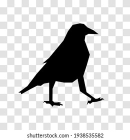 silhouette of a black crow