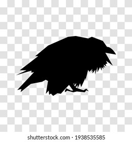 silhouette of a black crow