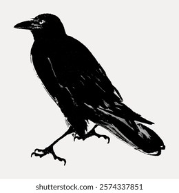 Silhouette of a black crow. The crow stands in profile. The crow's feathers are detailed. The crow's beak and claws. Isolated animal. Vintage art drawing illustration, painting art vector.