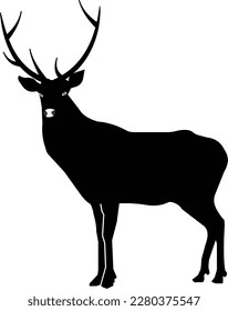 Silhouette schwarz liebe Vektordesign einzeln auf weißem Hintergrund