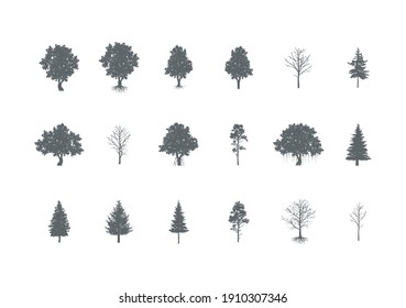 Silhouette Black Different Tree Types and Name Include of mangrove, banyan, fir, Cedar, acacia, Oak and Pine Icons Set. illustration of Various Type Wood and roots.