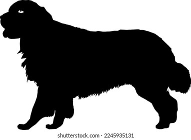 silhouette of a black dog