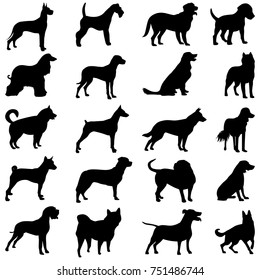 silhouette of a black dog on a light background