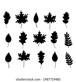The silhouette of black fallen leaves . Autumn fallen leaves. Elements of autumn design. vector illustration 
