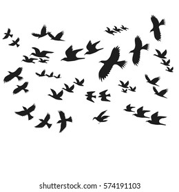 Silhouette Black Fly or Move Birds Decoration Element Nature Style. Vector illustration