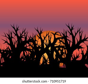 silhouette of a black forest against the background of an orange sunset or sunrise, a sitting or rising sun