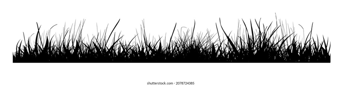 Silhouette de pasto negro. Ilustración del vector