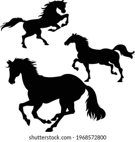silhouette black horse nature isolated animal