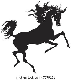 Silhouette of the black horse on the white background