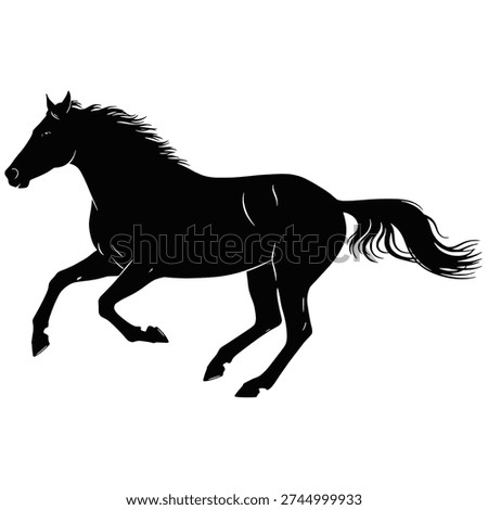 Silhouette of a Black Horse Run
