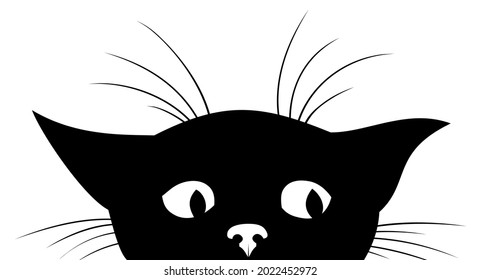 The Silhouette of black kitten.