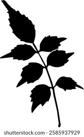 silhouette of a black leaf