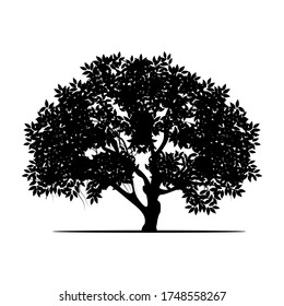 Silhouette of a black mangrove plant with a white background. Vector illustration