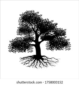 Silhouette of a black mangrove plant with a white background. Vector illustration