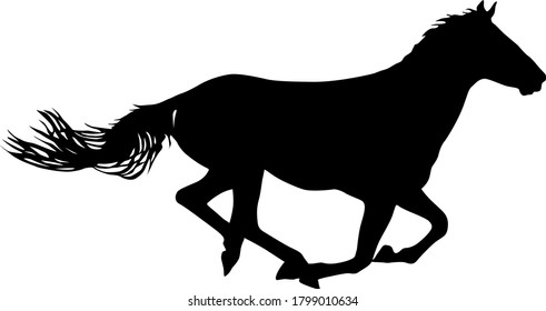 Silhouette of black mustang horse on white background
