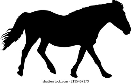 Silhouette Black Mustang Horse Vector Illustration Stock Vector 