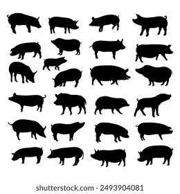 silhouette black pig vector illustration collection.