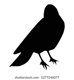Silhouette of a black raven. Vector black white illustration