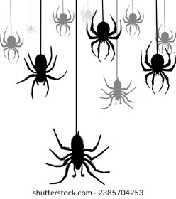 Silhouette of black spider, Silhouette of black spider