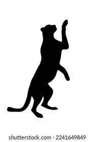 silhouette black striped cheetah. Cheetah big wild cat african design character vector illustration on white background. Vector of flat hand drawn cheetah isolated.