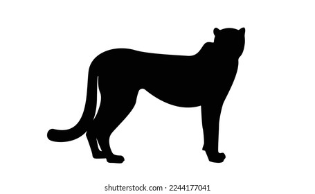 silhouette black striped cheetah. Cheetah big wild cat african design character vector illustration on white background. Vector of flat hand drawn cheetah isolated.