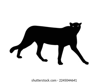 silhouette black striped cheetah icon design vector svg