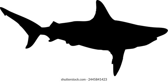 A silhouette of a black Tip Shark