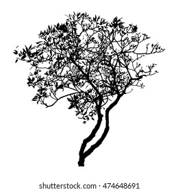 silhouette black tree, natural plant sign, isolated vector illustration on white