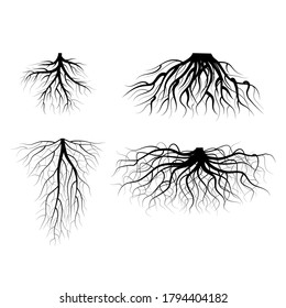 plant with roots drawing