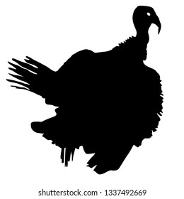Silhouette black turkey on a white background