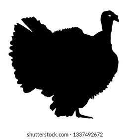 Silhouette black turkey on a white background