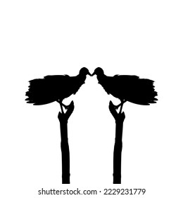 Silhouette of the Black Vulture Bird, Based on my Photography as Image Reference, Location in Nickerie, Suriname, South America. Vector Illustration