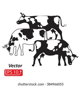 Silhouette of a black and white cow isolated on white background element design vector illustration