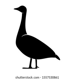 silhouette of a black and white duck. Isolated Goose Vector Illustration