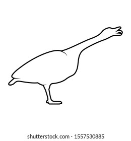 silhouette of a black and white duck. Isolated Goose Vector Illustration