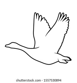 silhouette of a black and white duck. Isolated Goose Vector Illustration